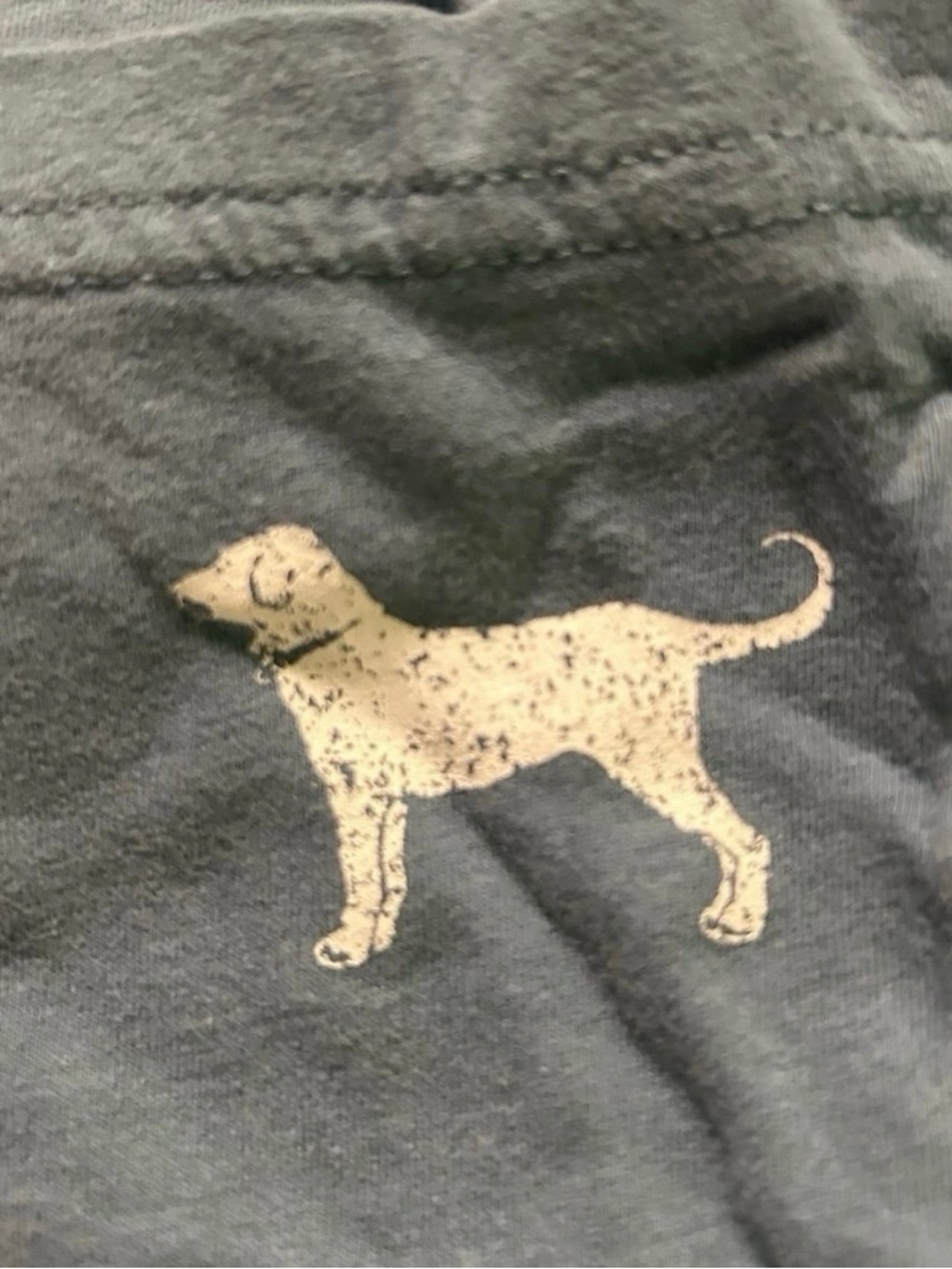Men’s The Black Dog Lightweight Blue Hoodie Size Large - Picture 3 of 5
